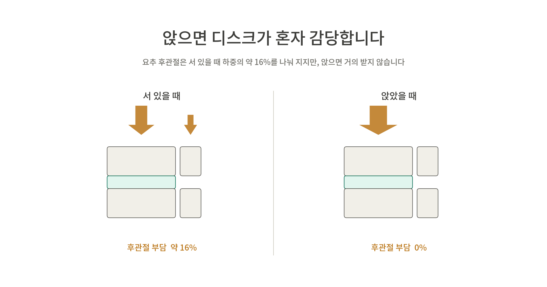 디스크의 후관절 부담을 설명하는 이미지, 서 있을 때와 앉을 때의 부담 차이를 보여줌.