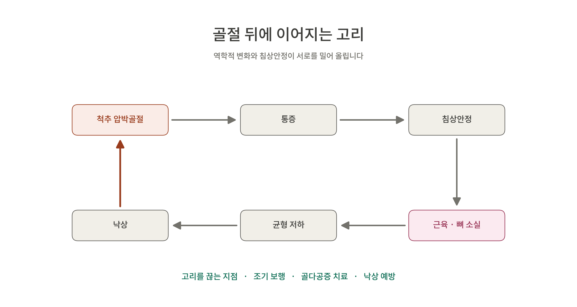 골절과 관련된 의학적 과정과 치료 방법을 나타내는 도식. 골절 압박골절, 낙상, 근육 및 뼈 소실 등의 요소들이 포함되어 있음.